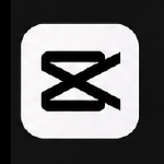 arslnx (4)
